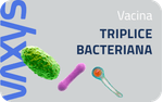 Novos-Banners-Site-Vaxys-Ago235