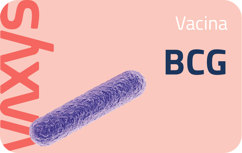 Novos-Banners-Site-Vaxys-Ago2323