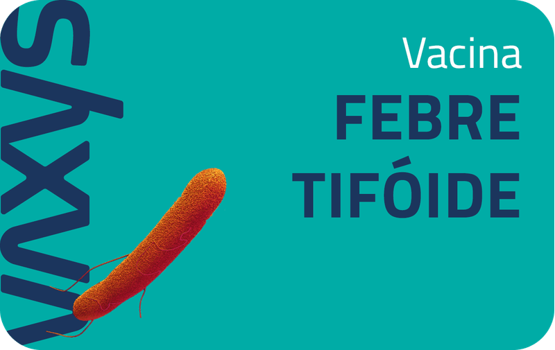 Novos-Banners-Site-Vaxys-Ago2315