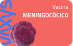 Banner-Meningococic