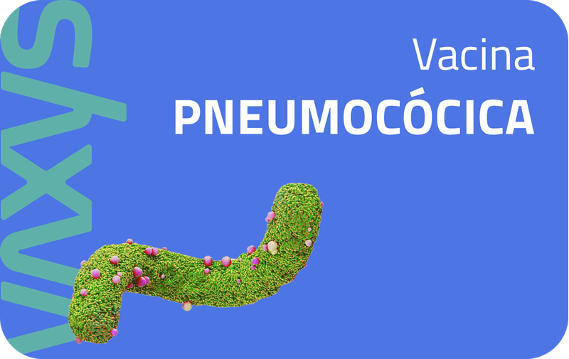 Banner-Pneumococica
