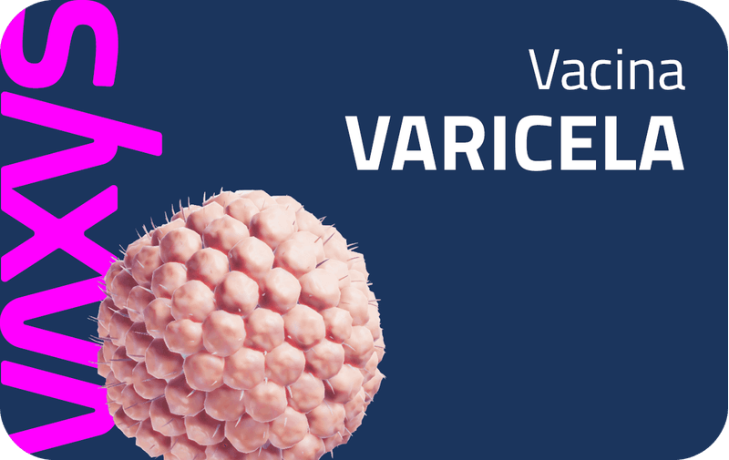 Novos-Banners-Site-Vaxys-Ago233-compressed